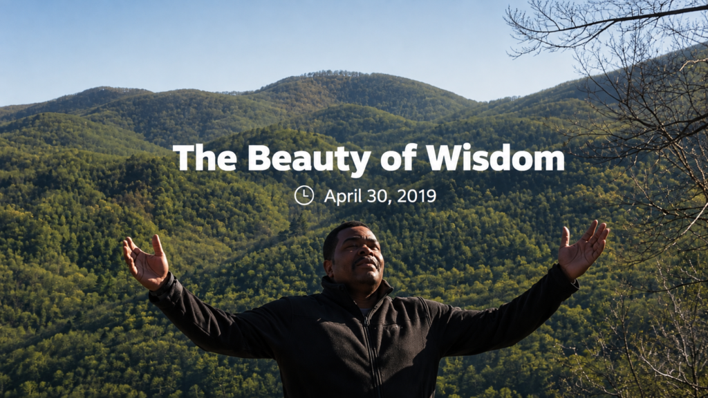 “The Beauty of Wisdom” with a man raising his arms before a scenic mountain landscape.